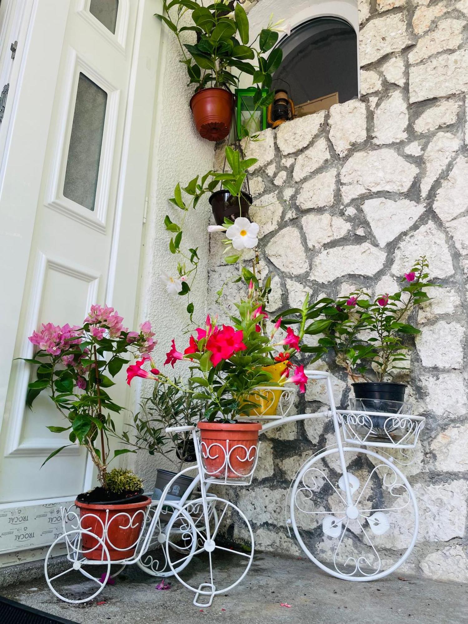 Guest House Blago Varna Dış mekan fotoğraf